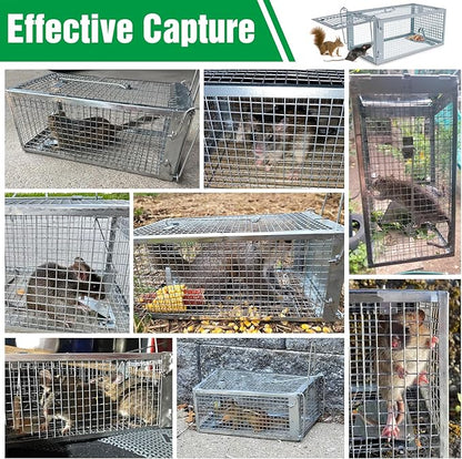 4 Packs Humane Rat Trap Outdoor, Wanqueen Humane Mouse Traps Indoor, Small Rodent Chipmunk Squirrel Trap and Other Live Animal Cage Catch and Release