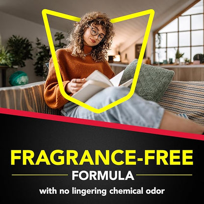 Raid Ant and Roach Killer, Fragrance Free, 17.5 OZ