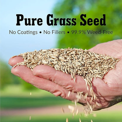 GreenView Pure Grass Seed Turf Type Tall Fescue Sun & Shade Blend, 20 lb. Bag – Covers up to 5,000 sq. ft.