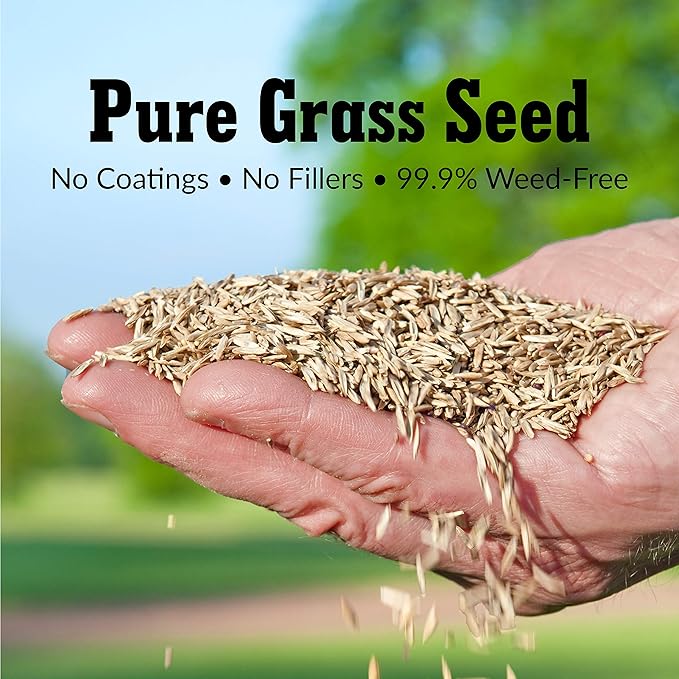 GreenView Pure Grass Seed Turf Type Tall Fescue Sun & Shade Blend, 3 lb. Bag – Covers up to 750 sq. ft.