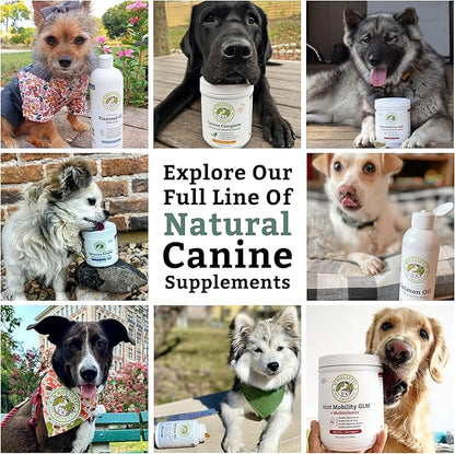 Wholistic Pet Organics Canine Complete - Dog Multivitamin Powder - 8 Oz - Daily Dog Vitamins and Supplements for Homemade Food - Immune System, Skin, Coat & Overall Health - Small and Large Breed