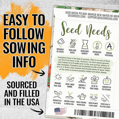 Seed Needs Spooky Blend Pumpkin Seeds - 30 Heirloom Seeds for Planting (Lumina White, Jack O Lantern, Baby Boo, Blue Jarrahdale, Cinderella & More!) Non-GMO & Untreated (1 Small Pack)