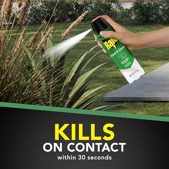 Raid House and Garden Insect Killer, Kills Ants, Roaches, Spiders and Flies on Contact, 11oz