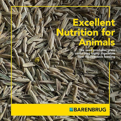 Pasture Seed, 25 lb 23094