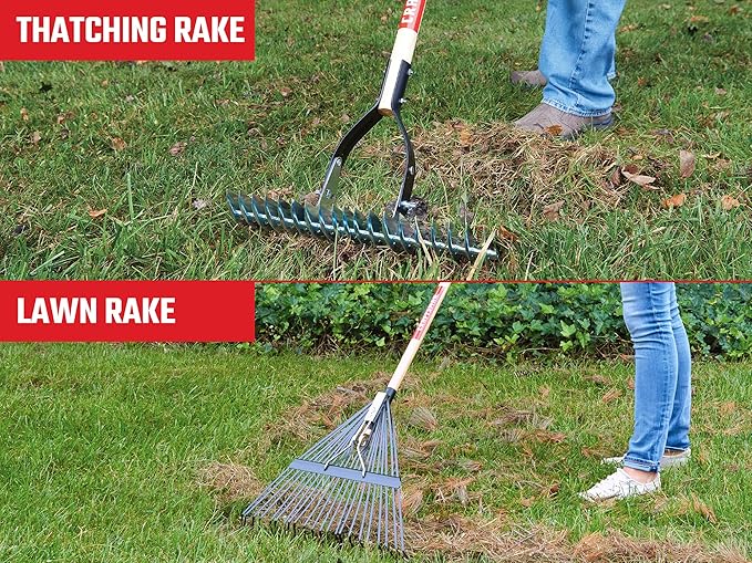 CRAFTSMAN 2-Piece Raking Set with Lawn & Thatching Rakes, Wood Handles with Cushion Grips, for Leaves, Dethatching, Dead Grass, Cultivating