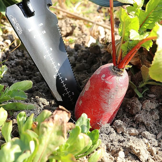 Gardening Shovel Tool, LRLXE Heavy Duty Stainless Steel Garden Transplant Shovel, Root Cutter, All-Purpose Small Hand Shovel with Serrated Edge for Digging and Transplanting(Red)