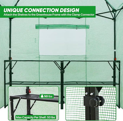 EAGLE PEAK 7x7 Pop up Greenhouse Portable Walk-in Outdoor Gardening Green House with 2 Foldable Shelves, Roll-up Zipper Entry Door and 3 Mesh Windows, PE Cover, Green/Clear