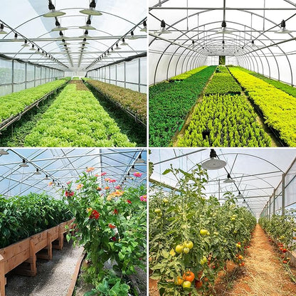 Outdoor LED Grow Lights, Waterproof String Plant Growing Light, Full Spectrum Growth Light with Timer, Suitable for Garden, Farm, Flower, Seedling Greenhouse Grow Light (12 Lights)