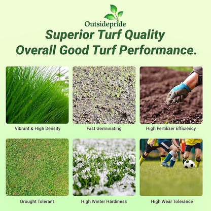 Outsidepride Royal TXD Bermuda Grass Seed Blend - 10 lbs. Warm Season, Fast Growing Turf Grass Seeds: Heat & Drought Tolerant, Ideal for Home Lawns & Sports Fields, Dense & Lush Green Coverage