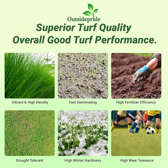 Outsidepride Royal TXD Bermuda Grass Seed Blend - 5 lbs. Warm Season, Fast Growing Turf Grass Seeds: Heat & Drought Tolerant, Ideal for Home Lawns & Sports Fields, Dense & Lush Green Coverage