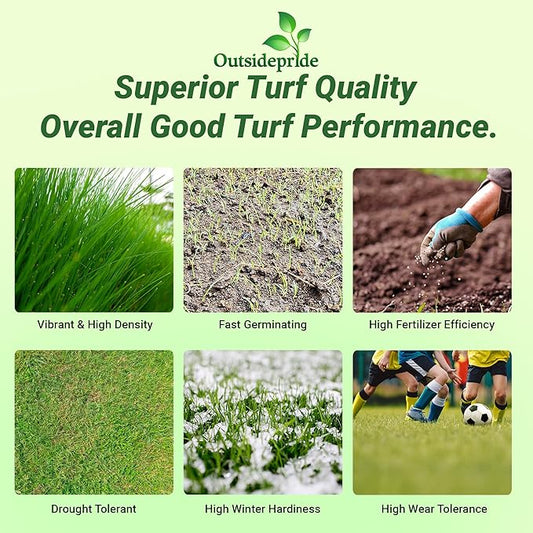 Outsidepride Royal TXD Bermuda Grass Seed Blend - 5 lbs. Warm Season, Fast Growing Turf Grass Seeds: Heat & Drought Tolerant, Ideal for Home Lawns & Sports Fields, Dense & Lush Green Coverage