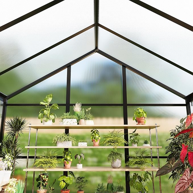 6x10 FT Greenhouse for Outdoors, Polycarbonate Flower Greenhouse with Roof Vent, Push-Pull Lockable Door, Aluminum Walk-in Greenhouses for Outside Garden Backyard, Patio, Lawn, Black