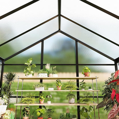 6x10 FT Greenhouse for Outdoors, Polycarbonate Flower Greenhouse with Roof Vent, Push-Pull Lockable Door, Aluminum Walk-in Greenhouses for Outside Garden Backyard, Patio, Lawn, Black