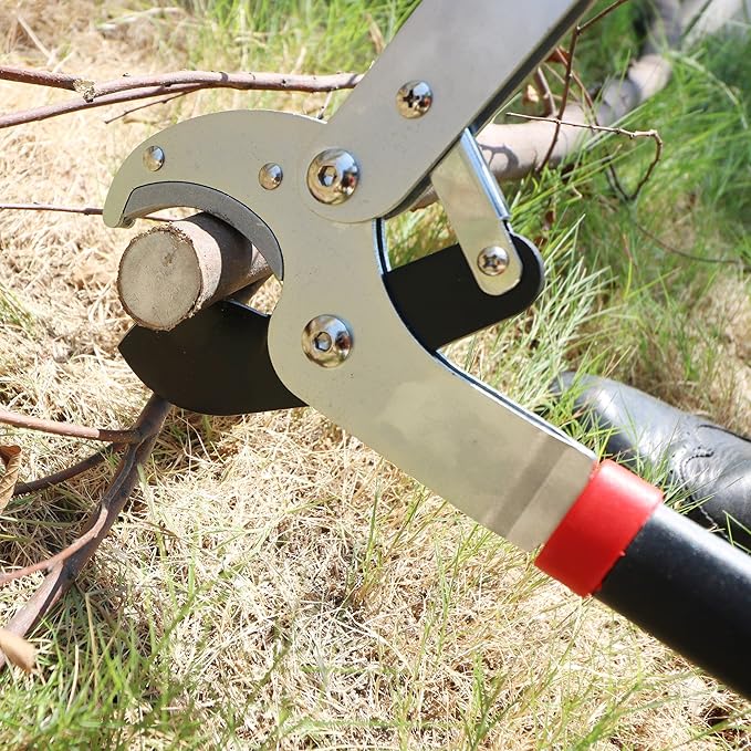 GARTOL Anvil Lopper, 29″ Heavy Duty Tree Branch Cutter (2″ Cutting Capacity), Compound Action for Effortless Cutting | Ergonomic Non-Slip Handles | Ideal for Tree Trimming & Garden Maintenance