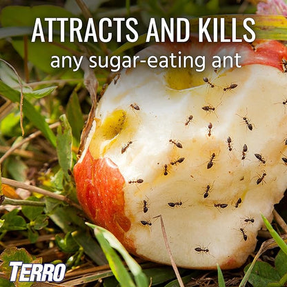 Terro T1812 Outdoor Liquid Ant Baits - 6 Pack