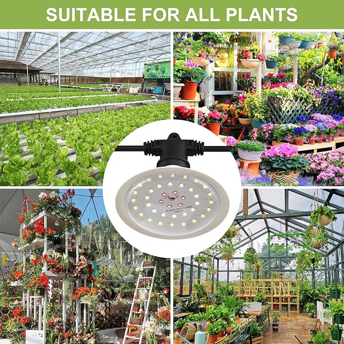 Outdoor Grow Lights for Plants, Full Spectrum Greenhouse Grow Light, Waterproof String Grow Light, 42FT Adjustable Cord, for Vegetables, Seedlings, Flowers (12 Lights)