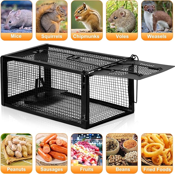 2 Pack Humane Rat Traps - Live Mouse Rat Cage Traps Catch and Release for Indoor Outdoor, Small Animals Traps, Easy to use(12.6''*5.5''*4.7'') Black