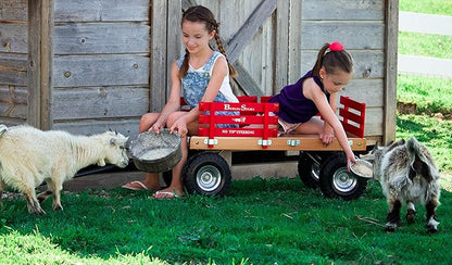 Berlin Flyer Sport Wagon - Model F410 - Amish Made in Ohio, USA - 10" No-Flat Tires (Blue)