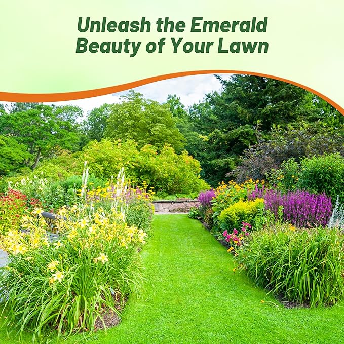 Outsidepride Legacy Fine Fescue Grass Seed Mix - 25 lbs. Shade & Sun Tolerant Blend of Hard Fescue, Chewings Fescue & Creeping Red Fescue with OptiGrowth Coating for Better Establishment