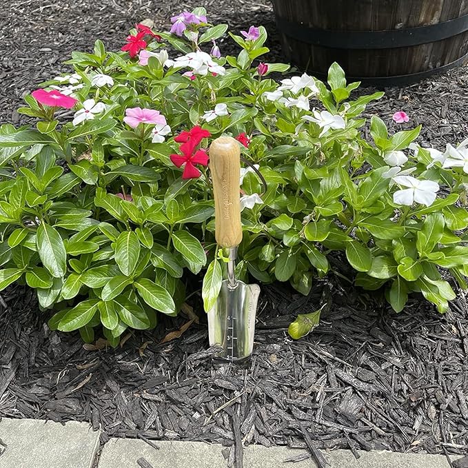 GARDEN GURU Eco Transplanter Trowel Shovel- 100% Recycled Stainless Steel - Rust Resistant - FSC Certified Wood Ergonomic Handle - Perfect Tool for Gardening Weeding Transplanting and Digging (4 Pack)