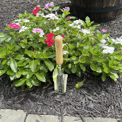 GARDEN GURU Eco Transplanter Trowel Shovel- 100% Recycled Stainless Steel - Rust Resistant - FSC Certified Wood Ergonomic Handle - Perfect Tool for Gardening Weeding Transplanting and Digging (4 Pack)