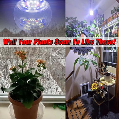 E12 Candelabra Small Base Grow Light Bulbs for Indoor Plants Full Spectrum 9W Grow Lamp 100W Replace with Blue Red 5000K LEDs for Seeds and Greens,Laboratory,Greenhouse,Garden,DIY Horticulture, 3 Pack