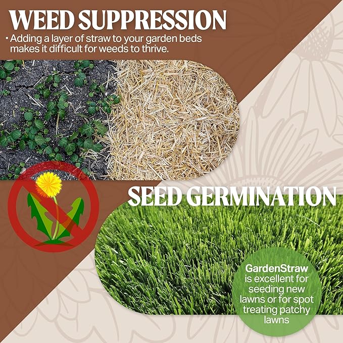 HealthiStraw GardenStraw, 3 cu ft (20 lbs) – All-Natural Mulch for Gardens, Vegetables Lawn Seeding – Water-Conserving Wheat Straw – Sustainably Sourced, Thoroughly Cleaned