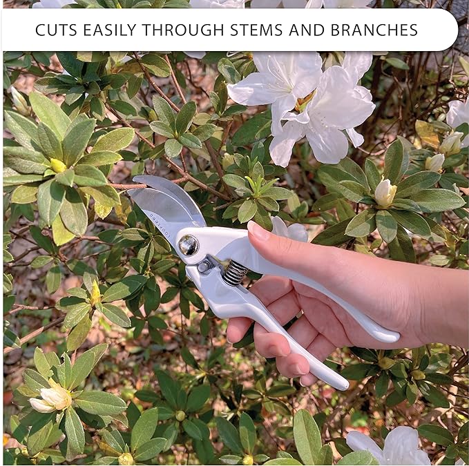 Bypass Pruning Shears Heavy Duty Hand Pruner Garden Trimming Scissors Plant Clippers Tree Trimmers Branch Cutters Modern Garden Tools