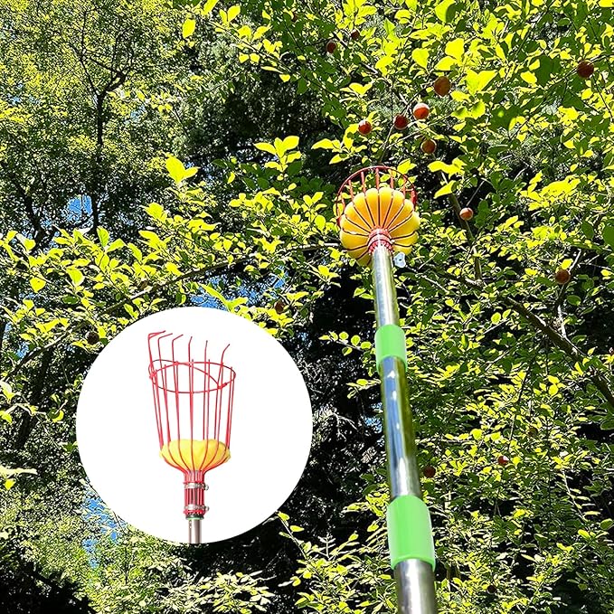 2 PCS Adjustable Fruit Picker Tool, 5.3 Feet Fruit Picker with Telescoping Basket & Pole, Ideal for Orange Picking, Cherry Picking & More