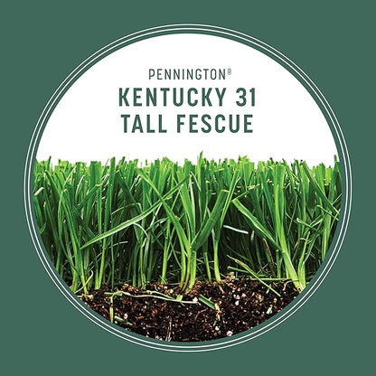 Pennington Kentucky 31 Tall Fescue Penkoted Grass Seed 3 lb