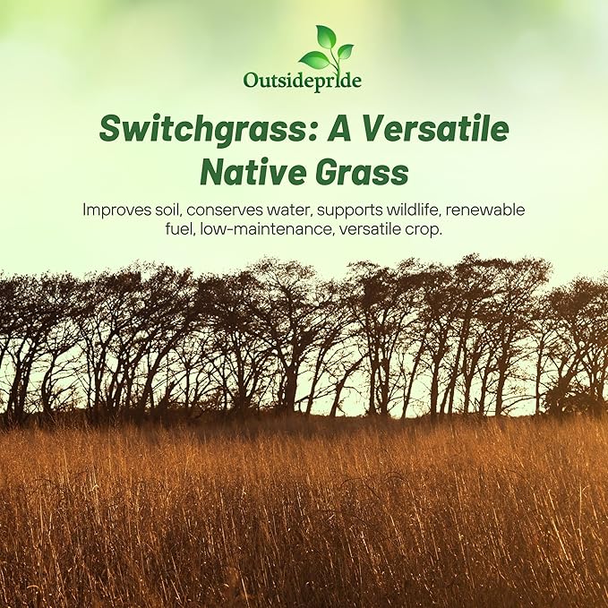 Outsidepride Switchgrass Seed - 1 lb. Perennial Hardy, Drought & Flood Tolerant Native Grass Seed Ideal Fast-Growing Grasses for Erosion Control, Wildlife Forage & Food Plots, Thrives in Poor Soil