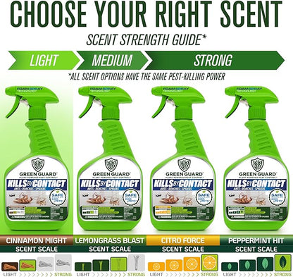 Green Guard Pest Control Spray - Indoor & Outdoor Killer of Ants, Roaches, Spiders & Other Crawling Insects, Safe Around Children & Pets, Plant-Based, Pleasant Scent (Cinnamon Might, 32oz)
