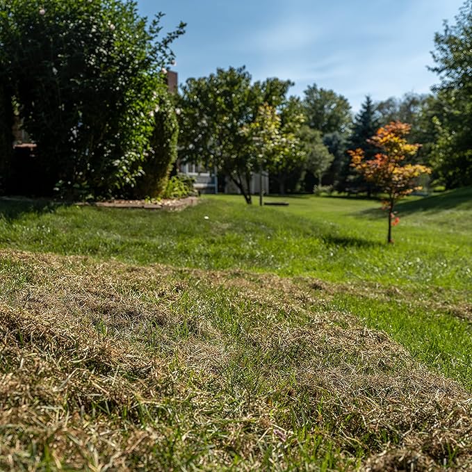 Earthwise 12-Amp 12-Inch Electric Corded Lawn Dethatcher