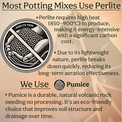 Craft Aroid Potting Mix- Elite Alocasia, Philodendron, Monstera Soil Mix, Chunky, Well Draining Potting Soil for Indoor Plants, All Tropical Plants & Houseplants, Peat Free 12QT