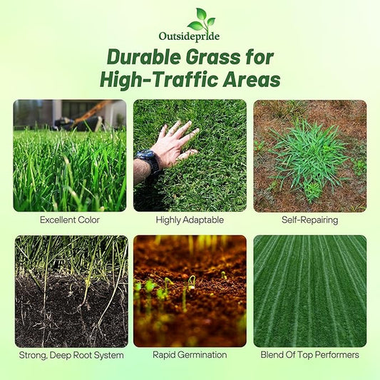 Outsidepride Combat Extreme Transition Zone Grass Seed Blend for Lawn 25 lbs - Fine, Medium Leaf Blades & Dense Turf for Sun, Shady & High Traffic Areas w/OptiGrowth Coating for Seed Enhancement