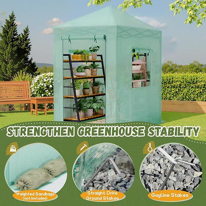 Devoko Walk-in Greenhouse, Portable Pop-in Green House with Zippered Door and 2 Roll-up Windows and PE Cover, Portable and Easy Assemble (Green, 6x4 Feet)