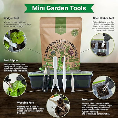 20 Culinary Herbs & Edible Flower Seed Variety Pack for Planting Indoor & Outdoors. 9500+ Non-GMO Heirloom Flower Seeds: Basil, Borage, Echinacea, Lavender, Oregano, Rosemary Seeds & More