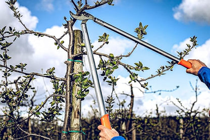 Original LÖWE Professional Anvil Lopper Garden Tools 22.080 | Use as Pruners, Garden Shears, Pruning Shears for Gardening | For cutting branches, twigs, trees & shrubs | 31.5 inches | Made in Germany