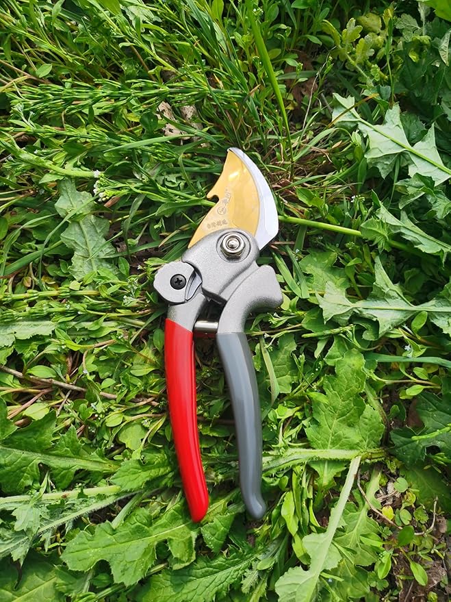 Garden Tools Set, 5 Piece Aluminum Hand Tool Kit with Ergonomic Handle, Heavy Duty Gardening Tools Include Hand Trowel, Transplant Trowel, Hand Rake, Weeder and Shears (Green)