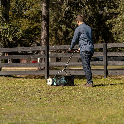 American Lawn Mower Company 1304-14GC 14-Inch 5-Blade Push Reel Lawn Mower with Grass Catcher, Mint