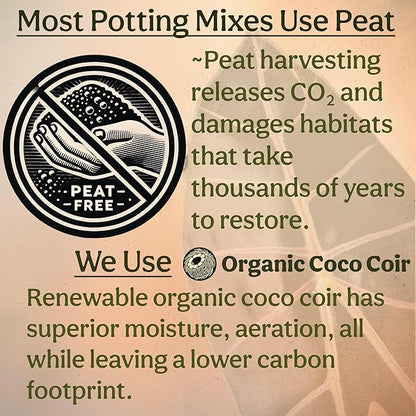Craft Aroid Potting Mix- Elite Alocasia, Philodendron, Monstera Soil Mix, Chunky, Well Draining Potting Soil for Indoor Plants, All Tropical Plants & Houseplants, Peat Free 12QT