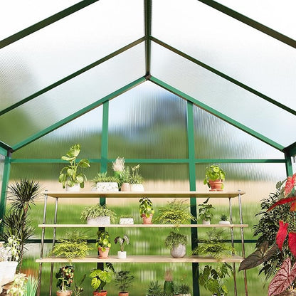 6x10 FT Greenhouse for Outdoors, Polycarbonate Flower Greenhouse with Roof Vent, Push-Pull Lockable Door, Aluminum Walk-in Greenhouses for Outside Garden Backyard, Patio, Lawn, Green