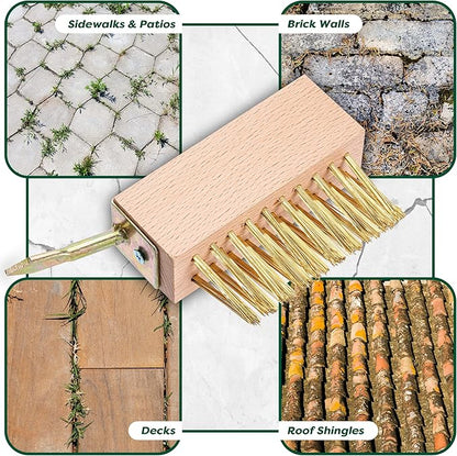 SCRUBIT Moss & Weed Remover Wired Grout Cleaner Brush, Great for Cleaning Decks, Pavers, Patios & Walkways Weed Scraper & Wire Brush Set, Combo w/2 Brush Heads & Scraping Hook - Grout Remover Tool