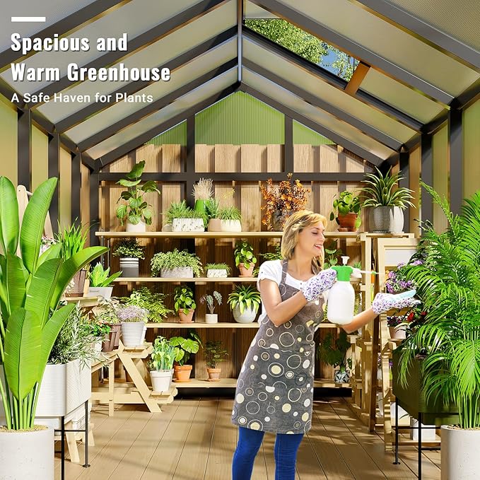 6x10 FT Greenhouse, Greenhouse for Outdoors, Polycarbonate Greenhouses with Quick Setup, Aluminum Frame and Roof Vent, Lockable Door for Backyard, Green Houses for Outside Garden Backyard, Patio