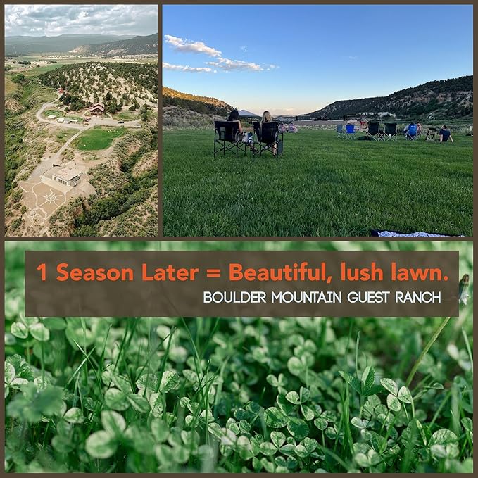 Micro Clover Seed for Lawn - 4 Oz - ~100,000 Microclover Seeds for Planting - Drought-Tolerant Mini Grass Alternative by Mountain Valley Seed Company