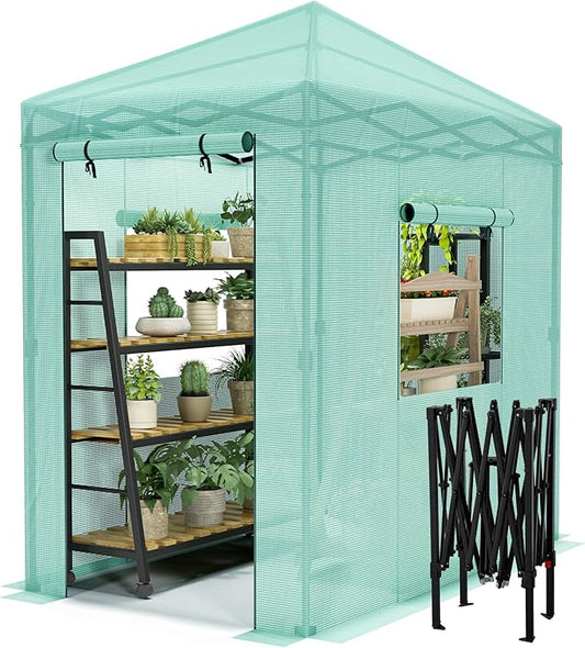 Devoko Walk-in Greenhouse, Portable Pop-in Green House with Zippered Door and 2 Roll-up Windows and PE Cover, Portable and Easy Assemble (Green, 6x4 Feet)