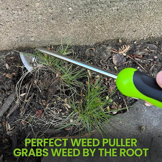 Garden Guru Root Weeder Tool with Ergonomic Handle - Stainless Steel Weed Puller for Planting, Weeding, Flower and Vegetable Care in Lawn Garden Yard | Rust Resistant