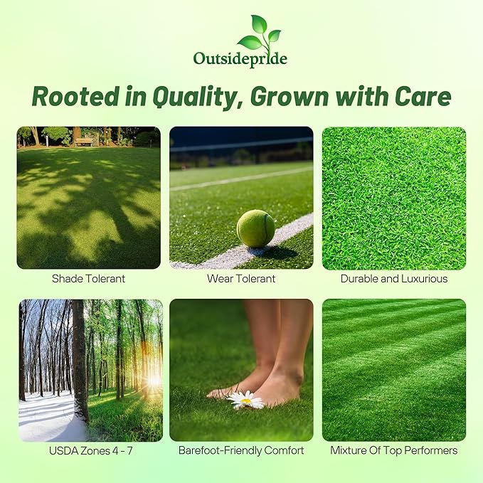 Outsidepride Showtime Perennial Lawn Grass Seed Mix - 5 lbs. Premium Blend of Creeping Red Fescue, Rye Grass & Kentucky Bluegrass Seed for Sports Fields, OptiGrowth Coated for Better Establishment
