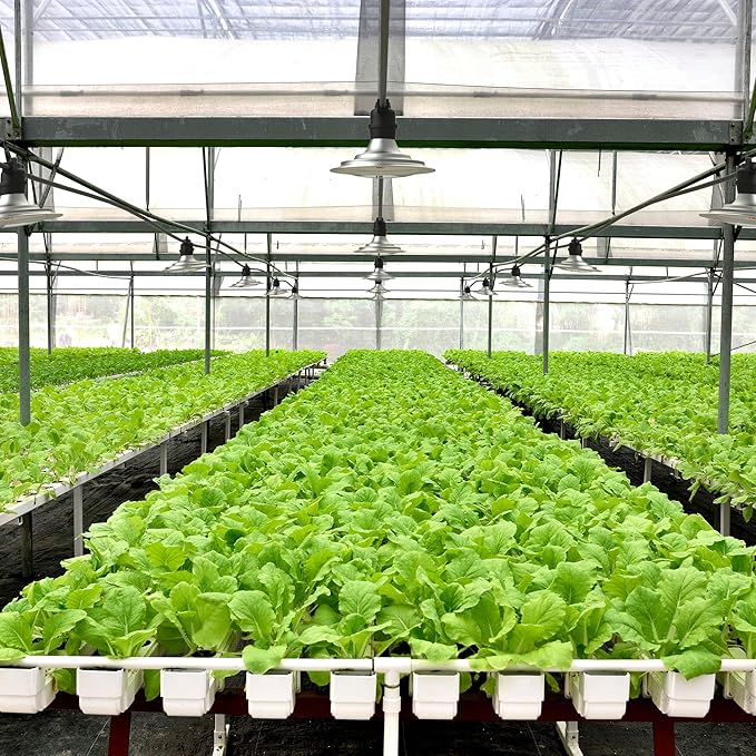 Outdoor LED Grow Lights, Waterproof String Plant Growing Light, Full Spectrum Growth Light with Timer, Suitable for Garden, Farm, Flower, Seedling Greenhouse Grow Light (6 Lights)