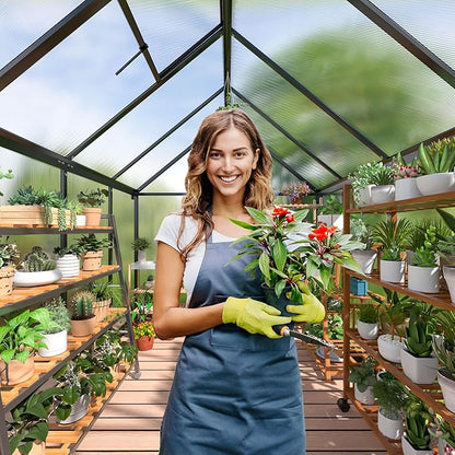 Polar Aurora 6x8 FT Greenhouse, Quick Aluminum Assembly Structure Polycarbonate Greenhouse, Walk-in Greenhouses for Outdoors with Ventilated Windows, Green Houses for Outside Backyard Garden